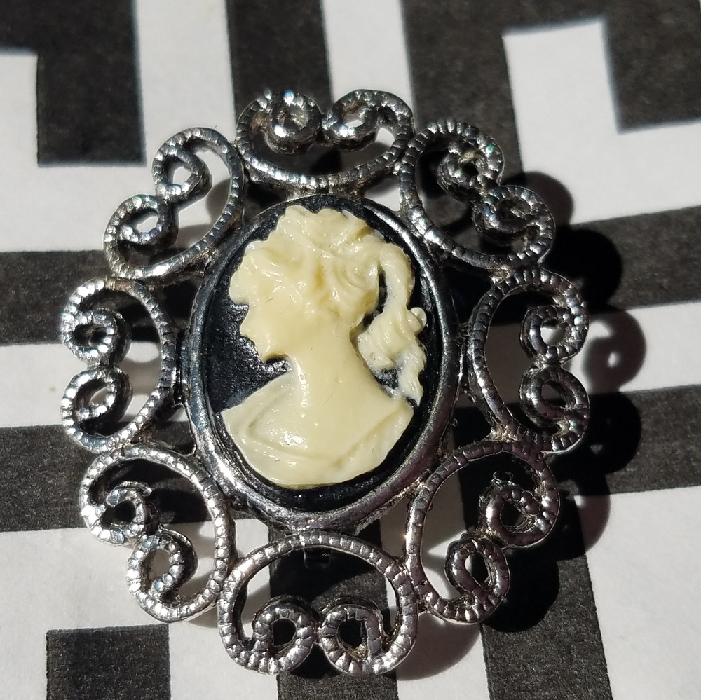 Fashion cameo pin